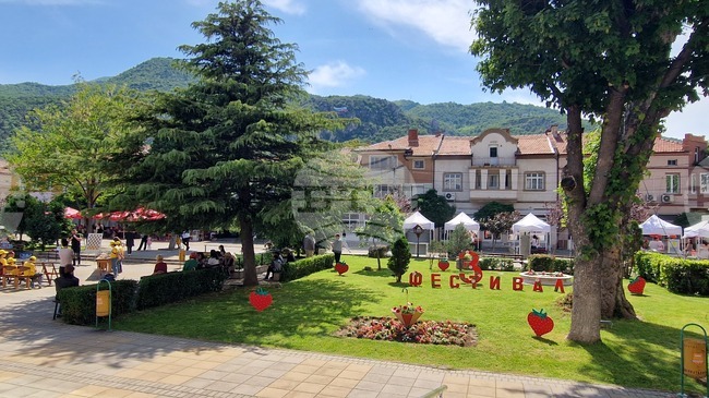 С турнир по шах за деца и базар-изложение започна третото издание на Фестивала на ягодата в Кричим