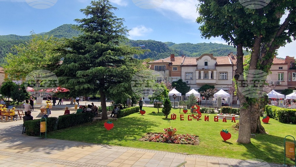 Кричим - фестивал - ягода