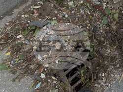 Снимка: Община Стара Загора