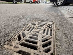 Снимка: Община Стара Загора