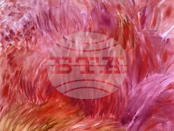 Марианжела Анастасова показва живописни творби и видеоистории в изложбата си „В началото бе локвата“. Снимка: организатори