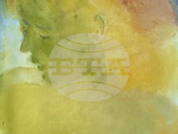 Марианжела Анастасова показва живописни творби и видеоистории в изложбата си „В началото бе локвата“. Снимка: организатори