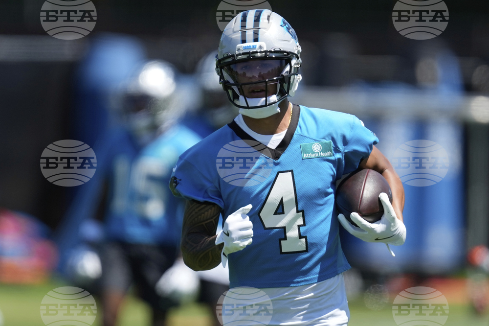 Panthers Football