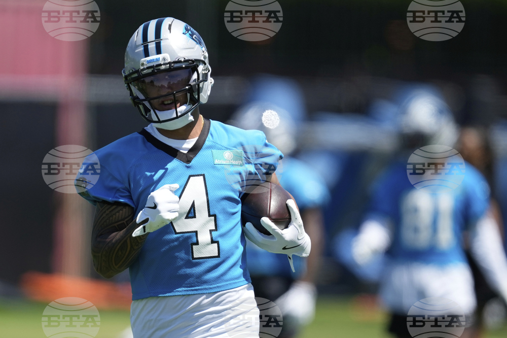 Panthers Football