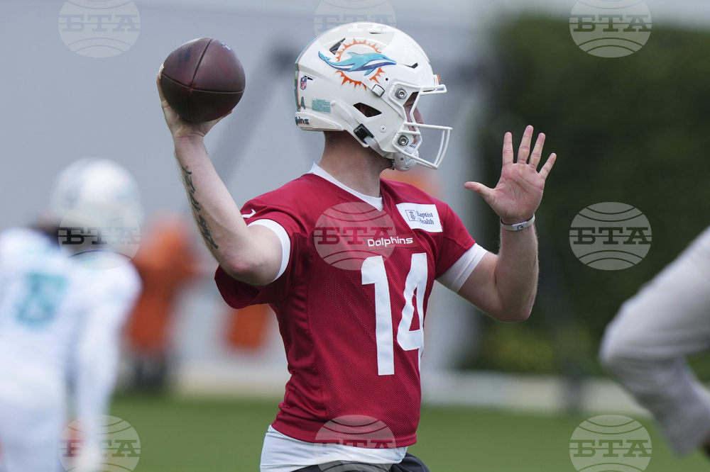 Dolphins Football
