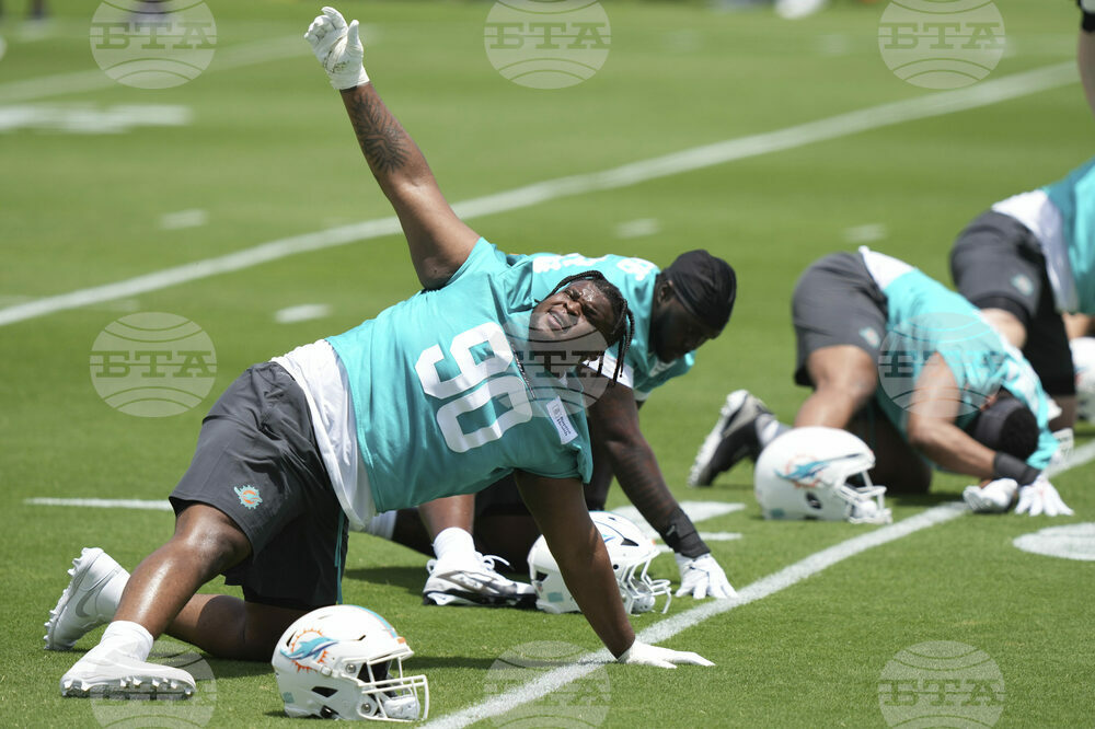 Dolphins Football