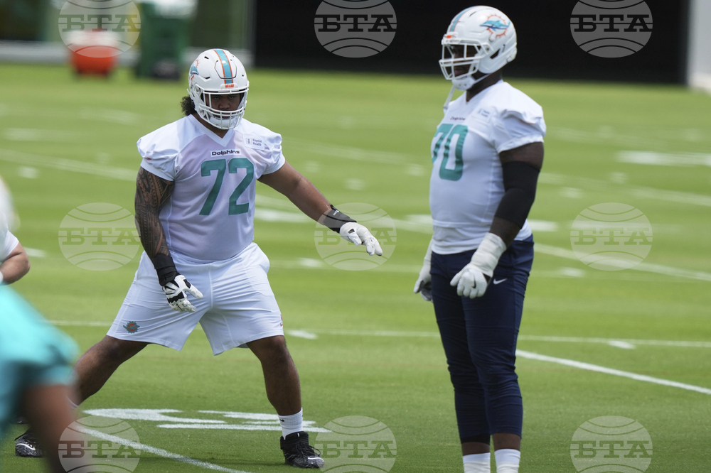 Dolphins Football