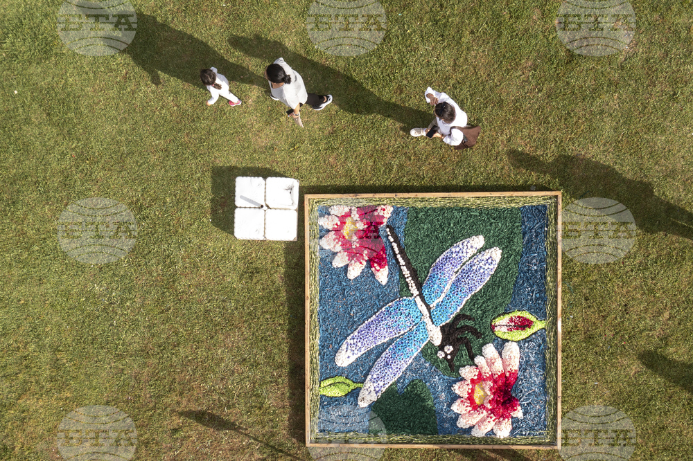 Turkey Flower Days