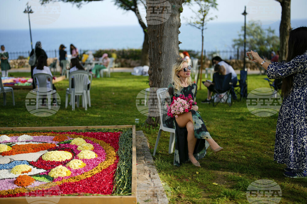 Turkey Flower Days