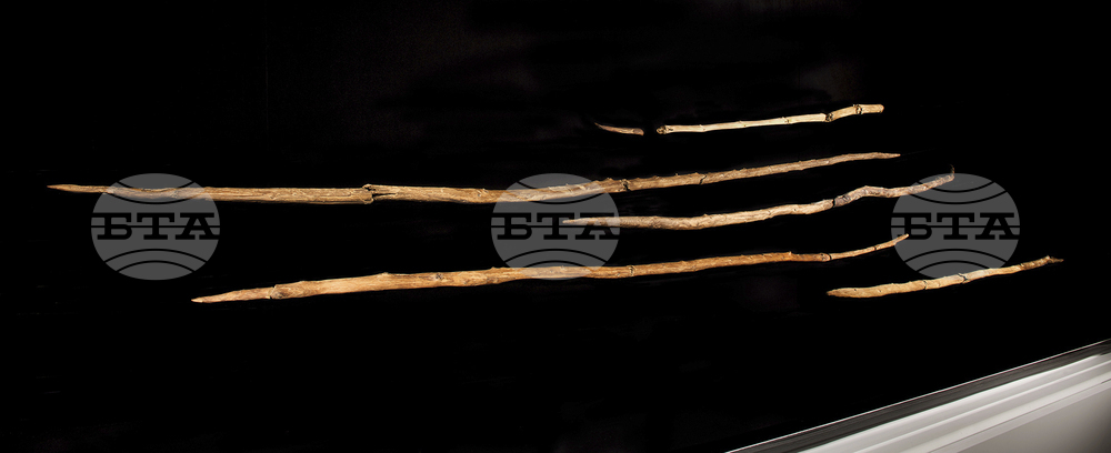 Wood Spears
