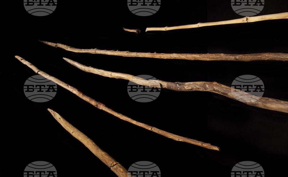 Wood Spears