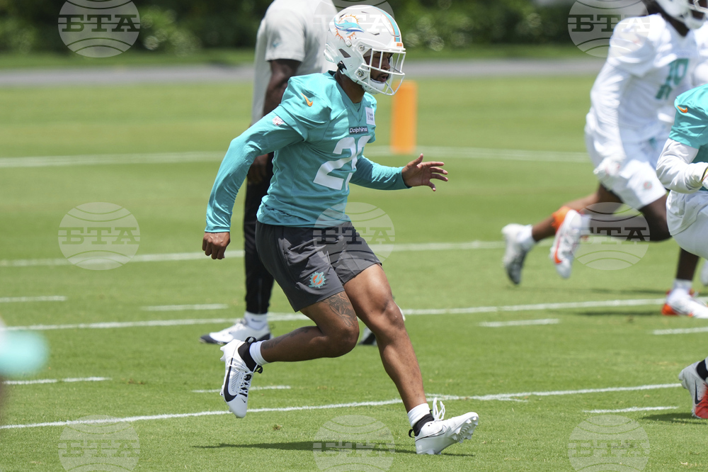 Dolphins Football