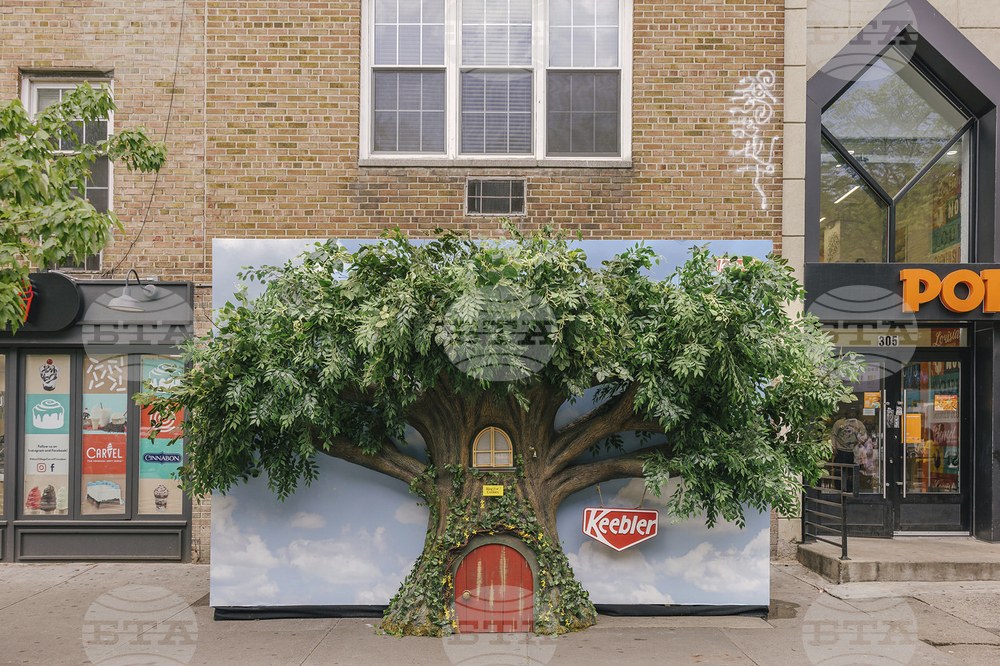 The Keebler® Hollow Tree™ and the Elves Visit New York City