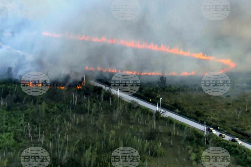 Bush Fire South Miami-Dade