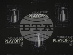 Maple Leafs Panthers Hockey