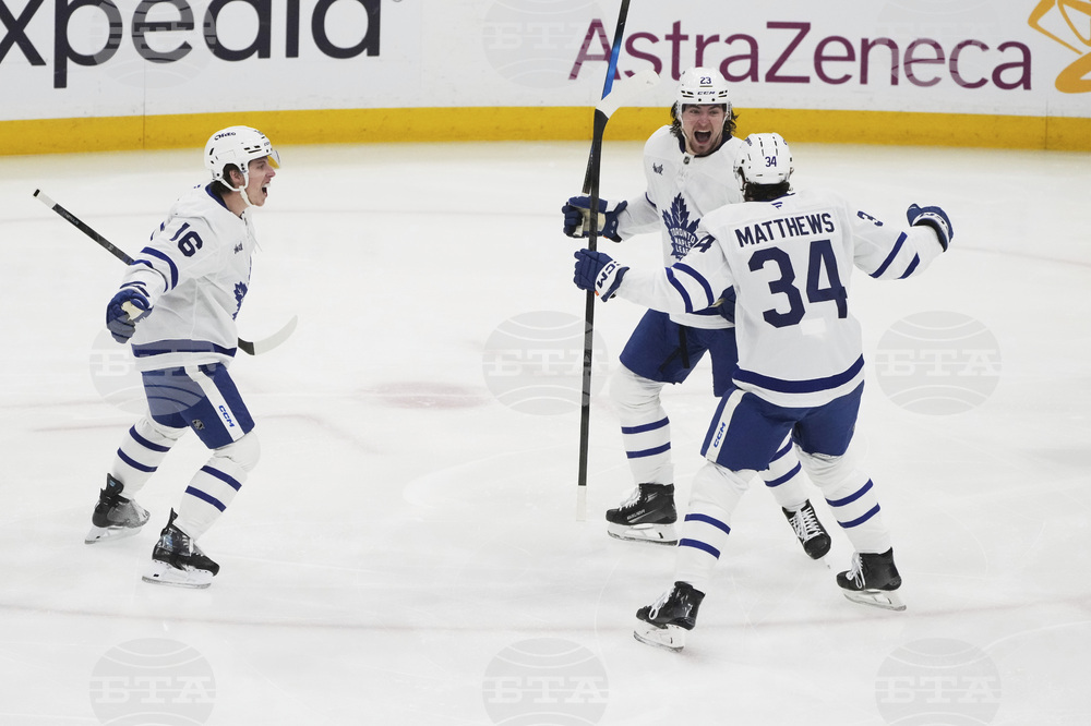 Maple Leafs Panthers Hockey