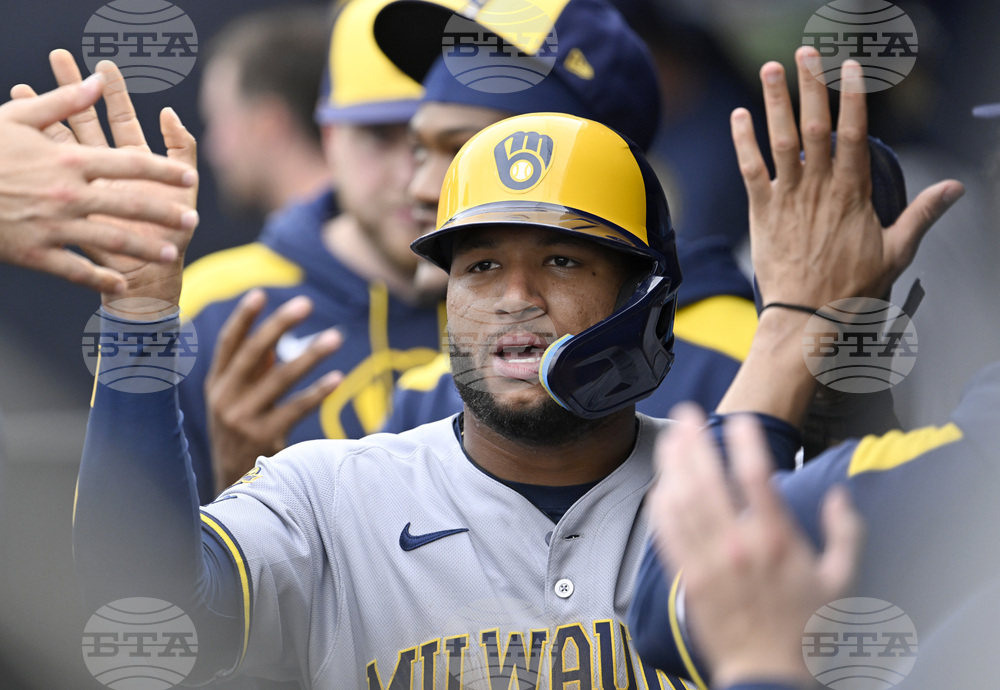 Brewers Rays Baseball