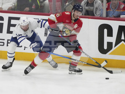 Maple Leafs Panthers Hockey