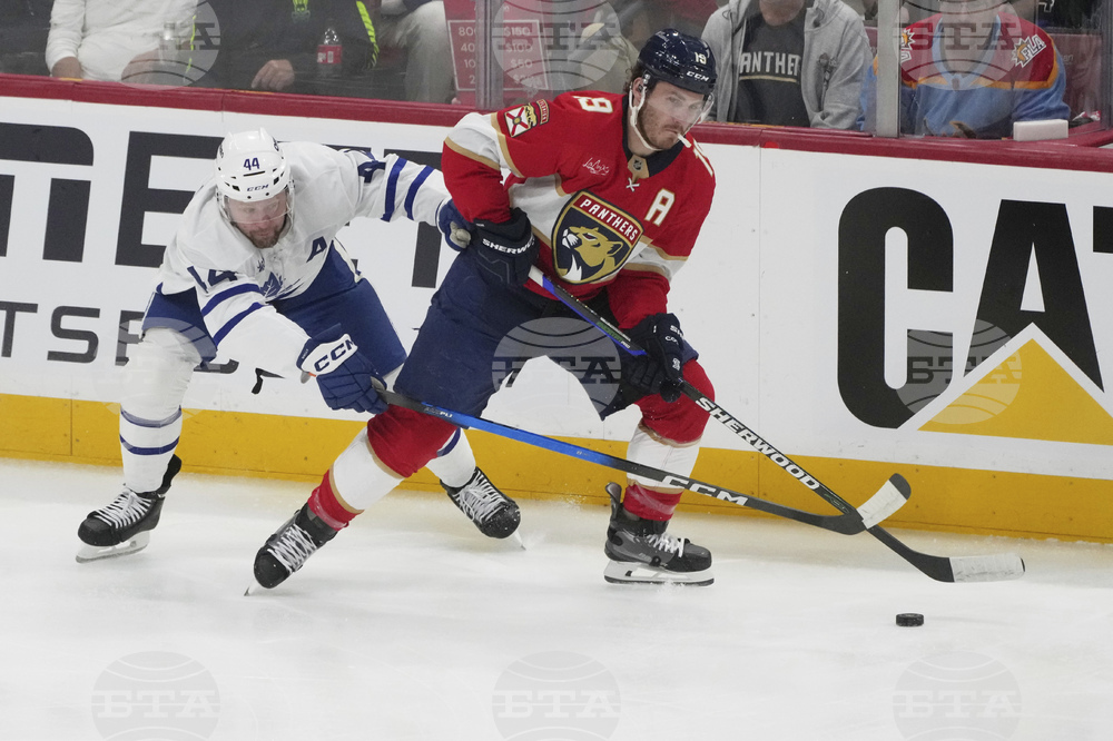 Maple Leafs Panthers Hockey