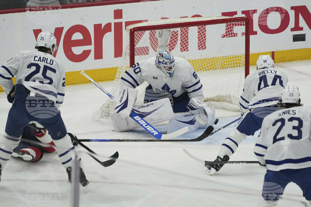 Maple Leafs Panthers Hockey