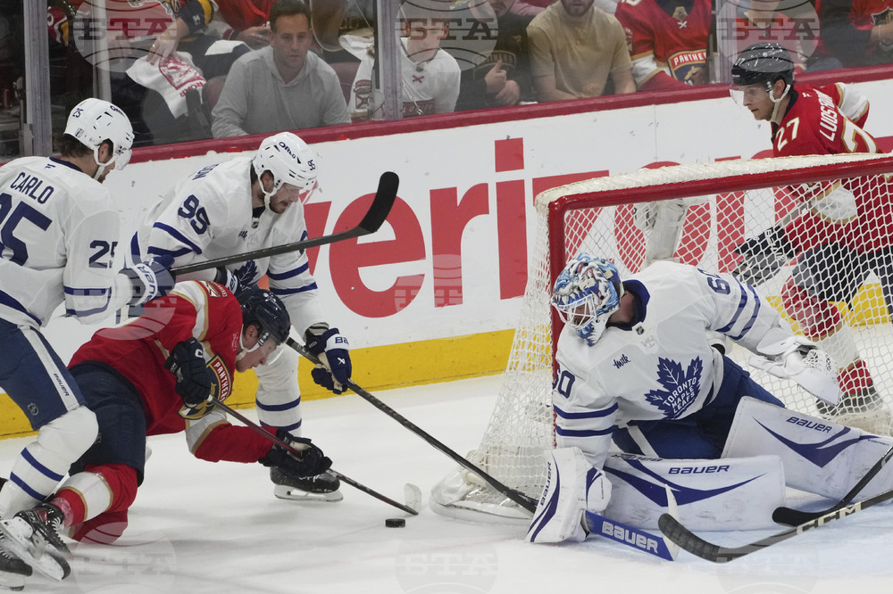 Maple Leafs Panthers Hockey