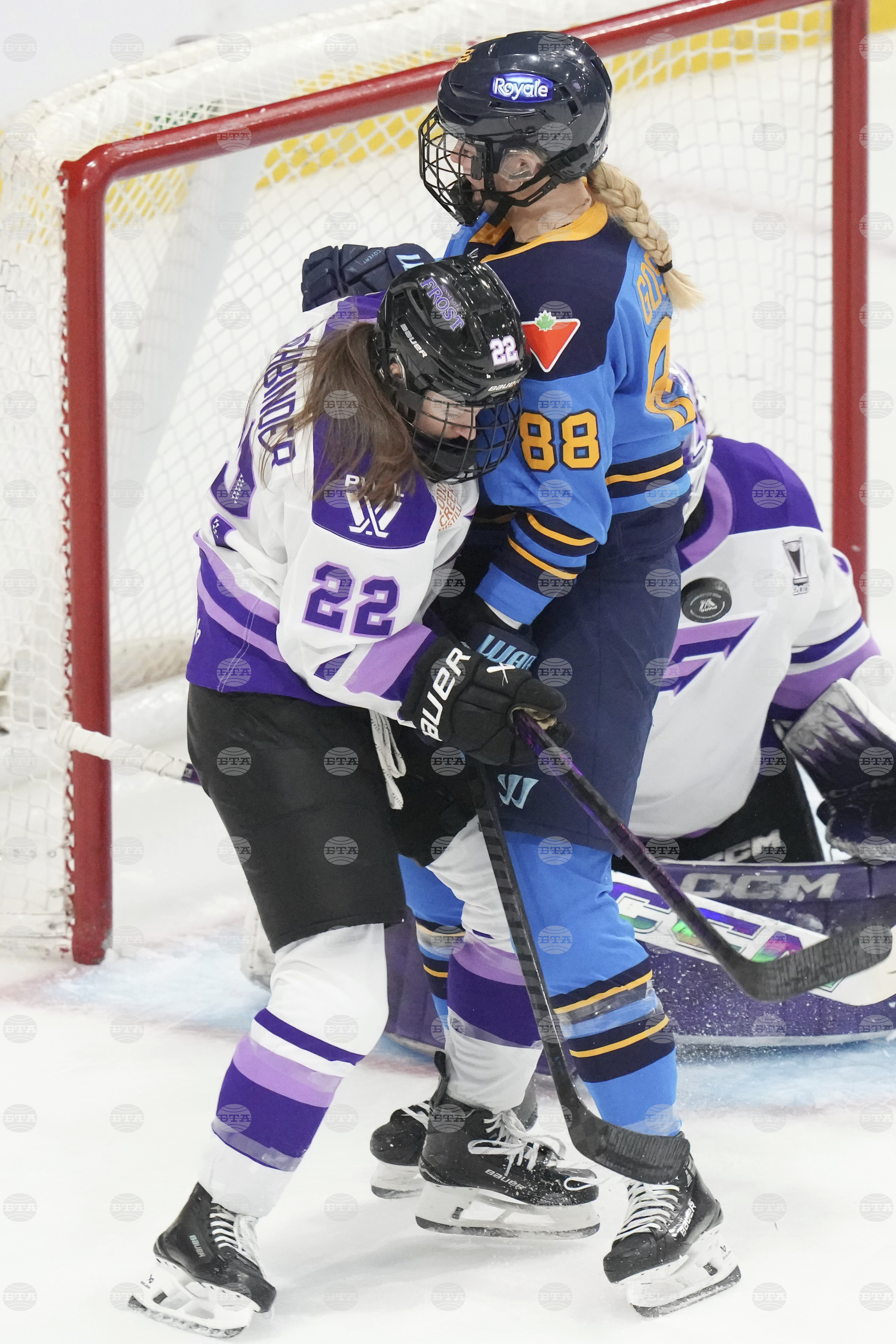PWHL Frost Sceptres Hockey