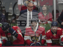 Maple Leafs Panthers Hockey