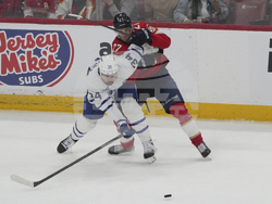 Maple Leafs Panthers Hockey