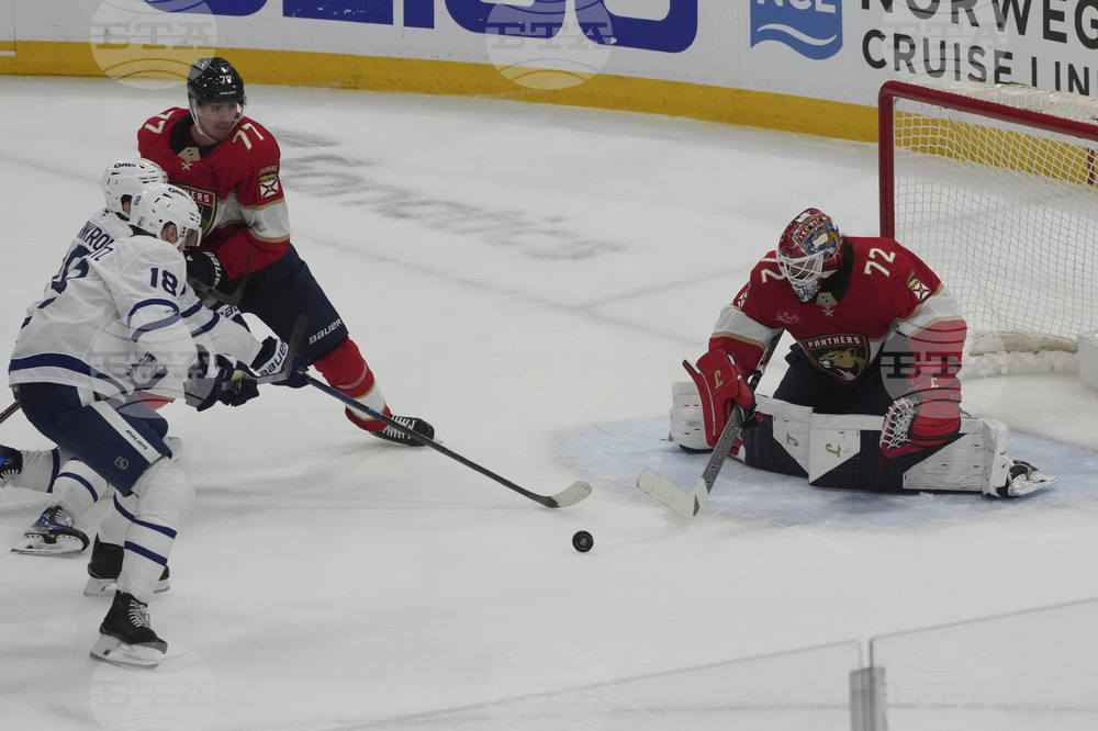 Maple Leafs Panthers Hockey