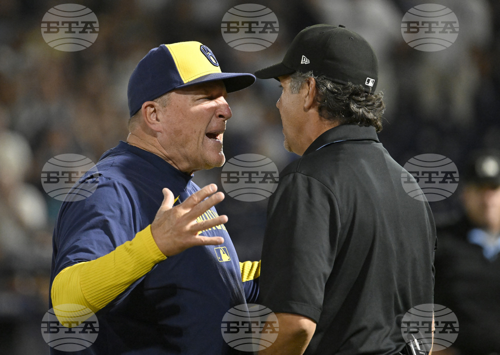 Brewers Rays Baseball