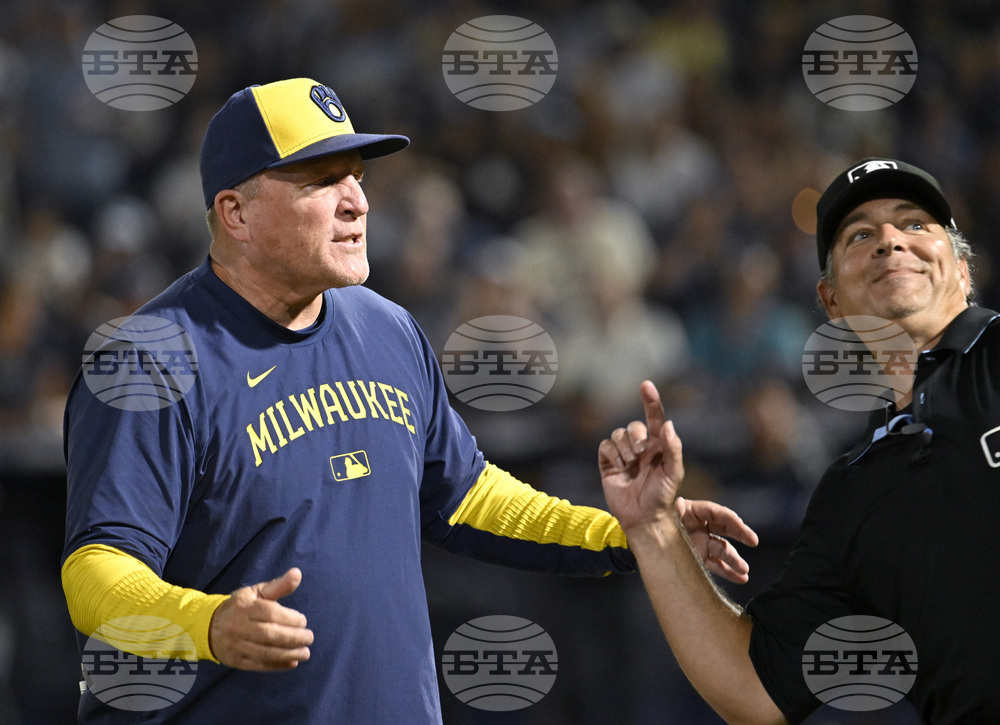 Brewers Rays Baseball