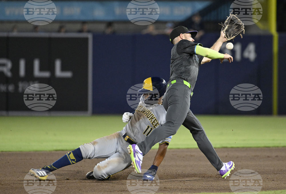 Brewers Rays Baseball