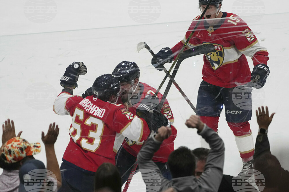 Maple Leafs Panthers Hockey