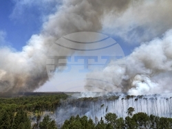 Vatican Pope Amazon Catholics