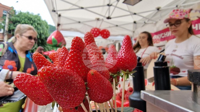 Serbia's Raspberry Growers Threaten to Abandon Plantations Due to Low Purchase Prices