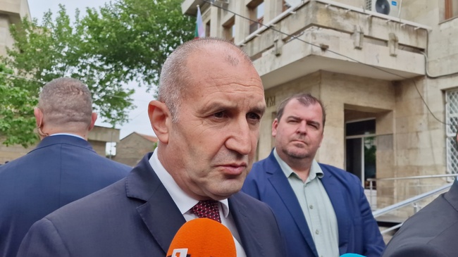 Elaborating on Euro Referendum Proposal, President Insists Government's Commitment to Bulgarian Citizens Should Be Overriding