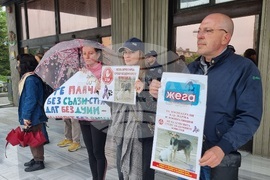 Варна - протест в защита на животните