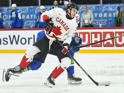 Sweden Hockey Worlds
