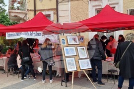 Пловдив - Панаир на професиите