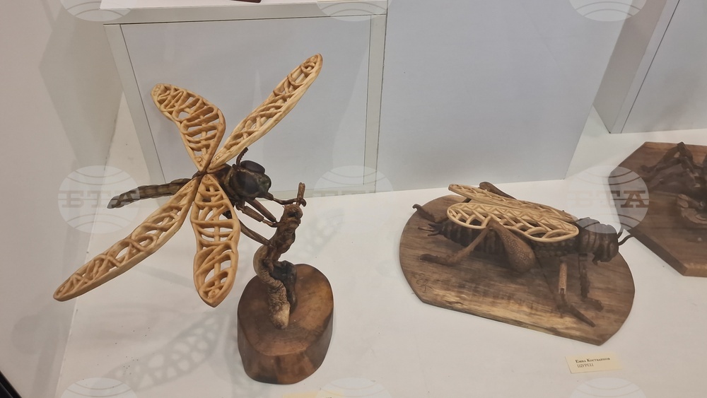 Село Орешак - изложба - дърворезба