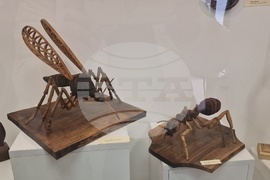 Село Орешак - изложба - дърворезба