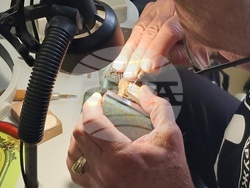 Село Орешак - изложба - дърворезба