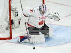 Sweden Hockey Worlds