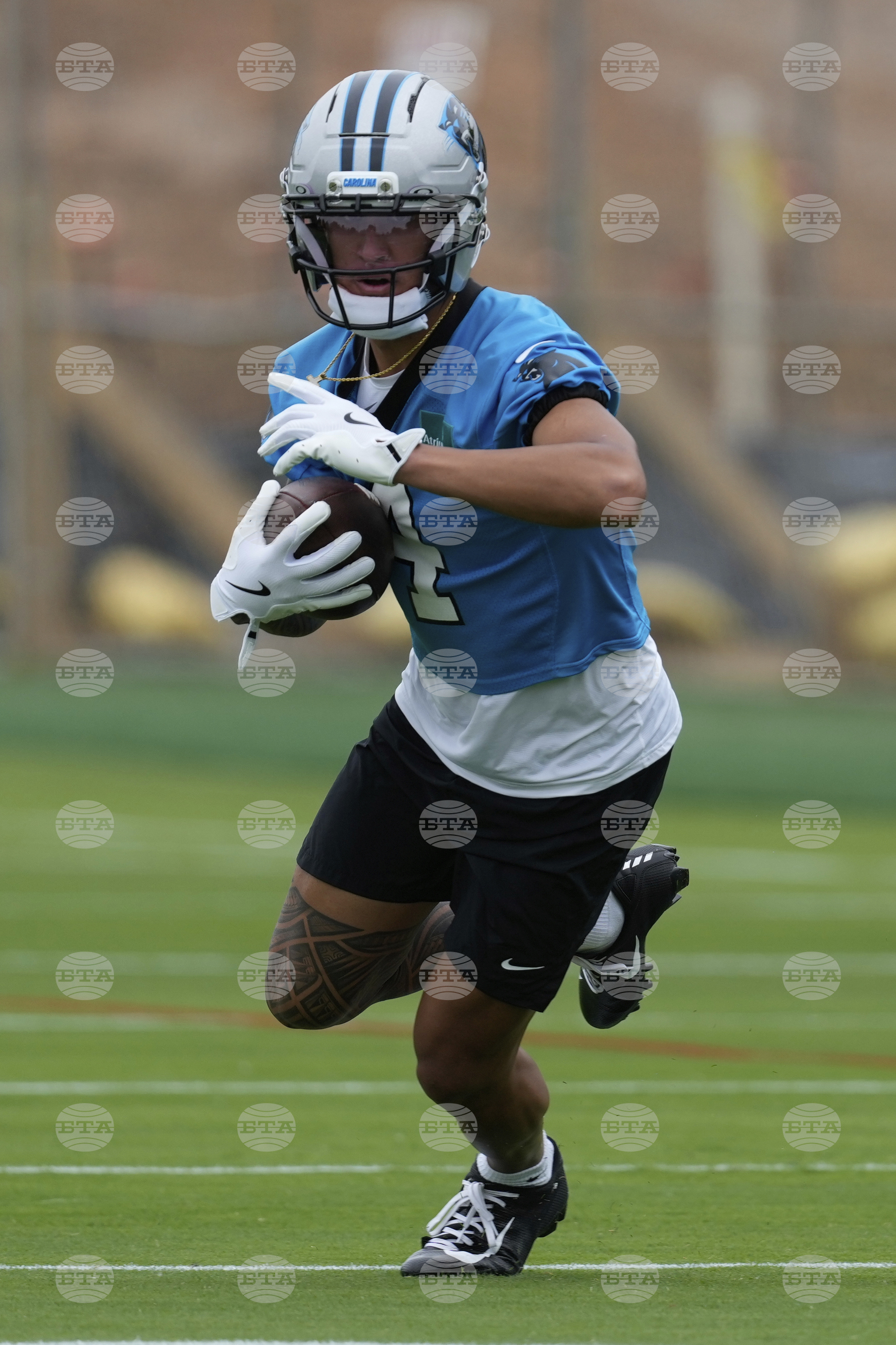 Panthers Football