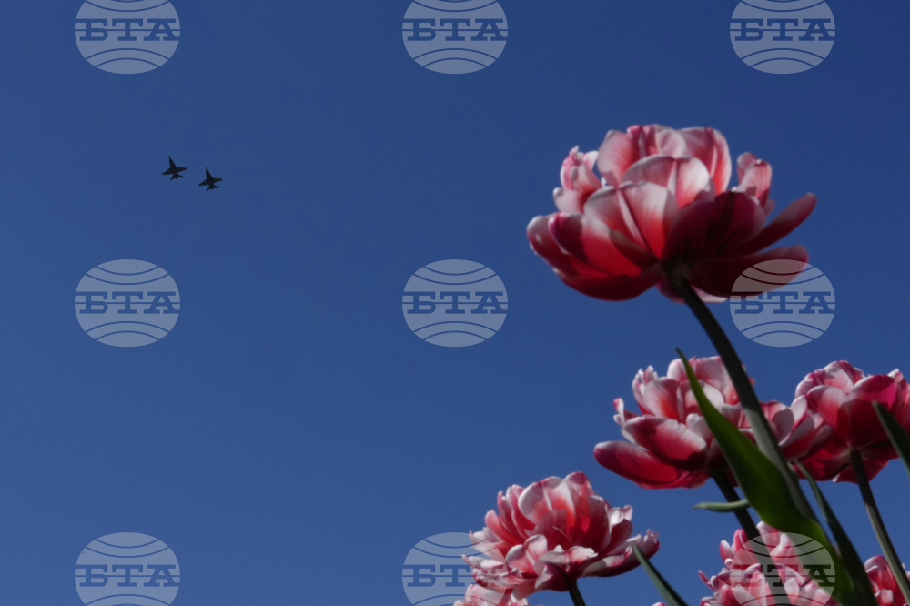 Canada Tulip Festival