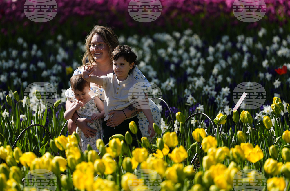 Canada Tulip Festival
