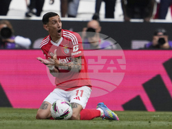 APTOPIX Portugal Soccer