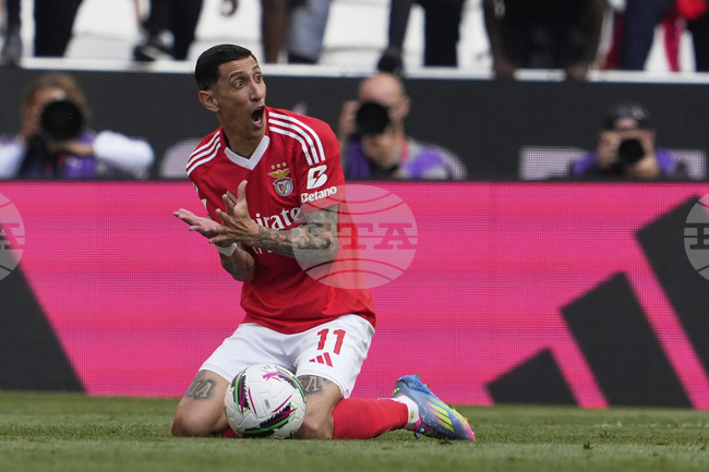 Бенфика отказа да приема мачове на националния отбор на "Луж" в знак на протест, клубът може да отнесе сериозно наказание