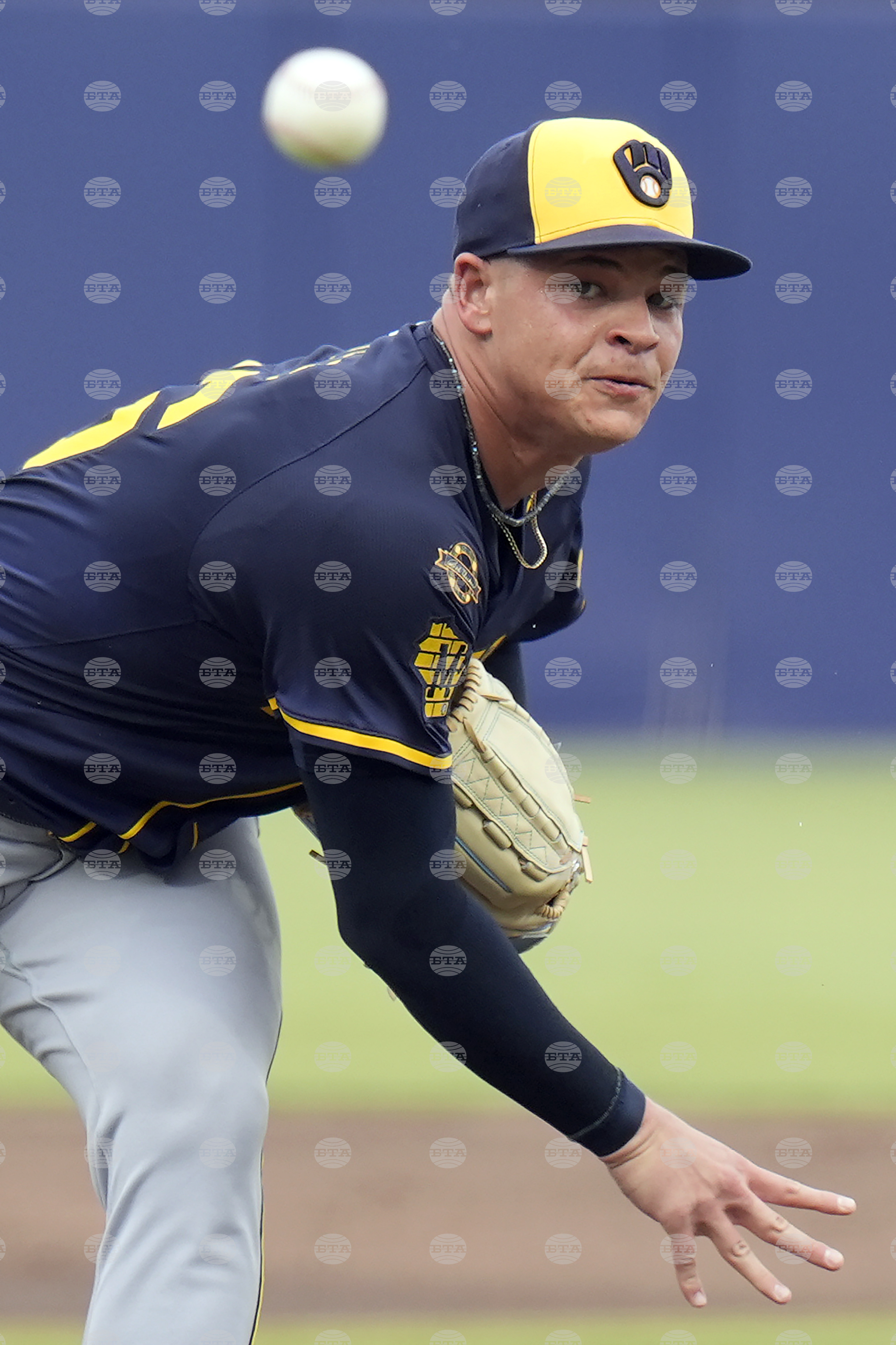 Brewers Rays Baseball