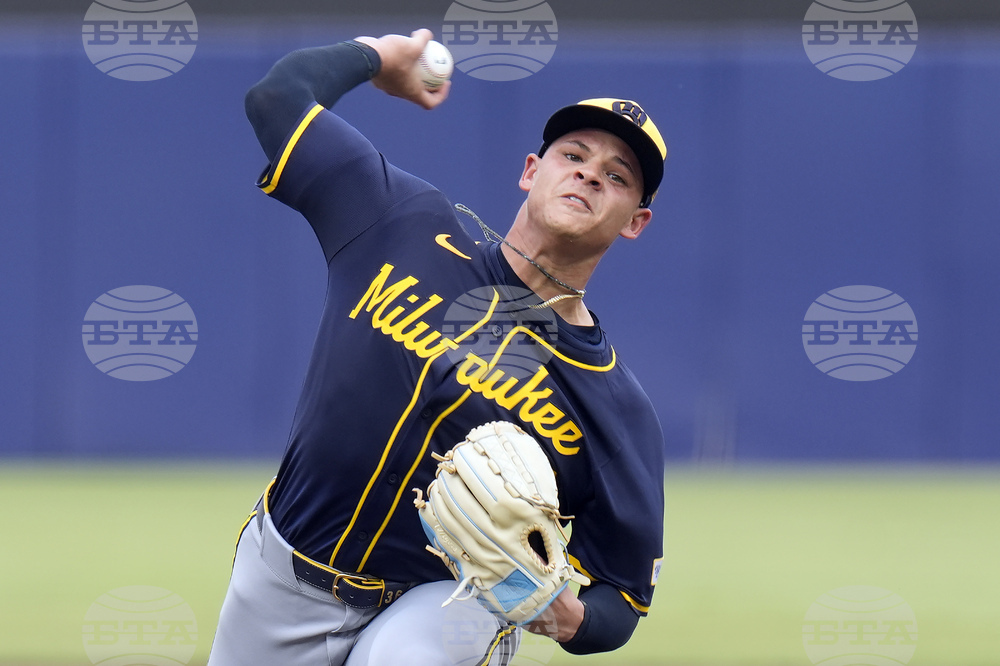Brewers Rays Baseball